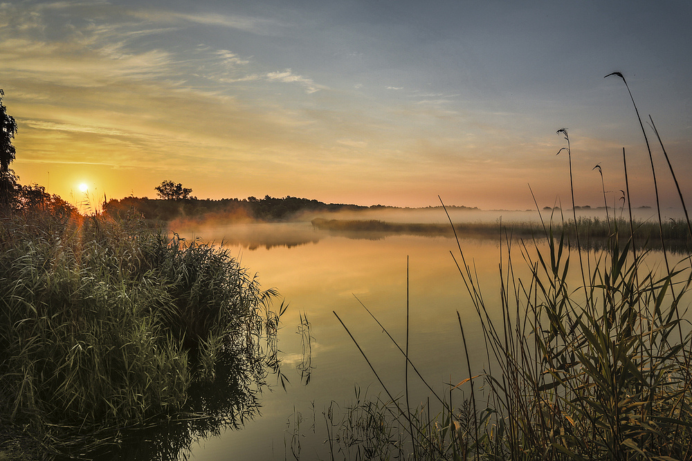 Morgens am See [Matin au bord du lac]