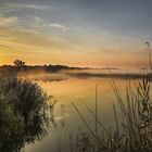 Morgens am See [Matin au bord du lac]