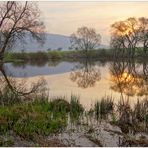 morgens am See (por la mañana en el lago)