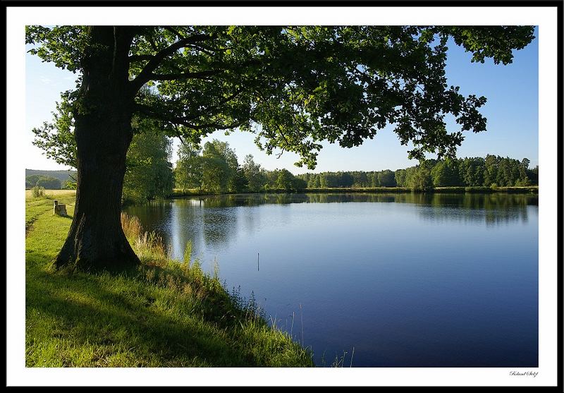 Morgens am See relaxen