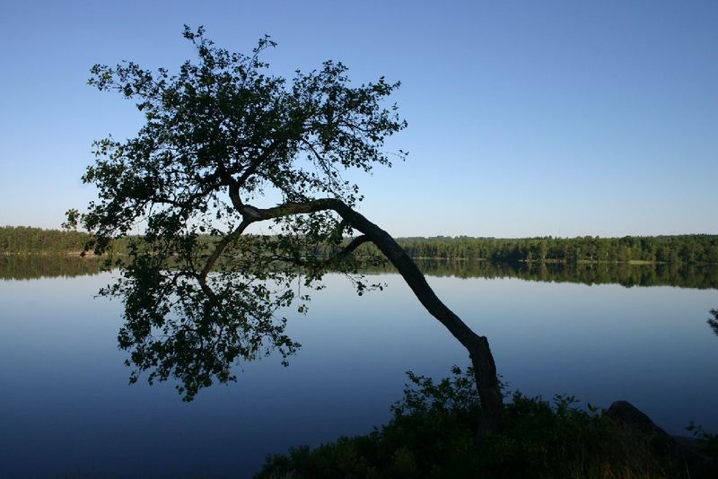 Morgens am See - Virserum - Schweden