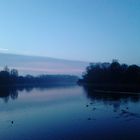 Morgens am See2