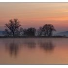 Morgens am Speichersee 