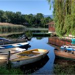 morgens am staffelsee (2)