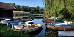 morgens am staffelsee (2)