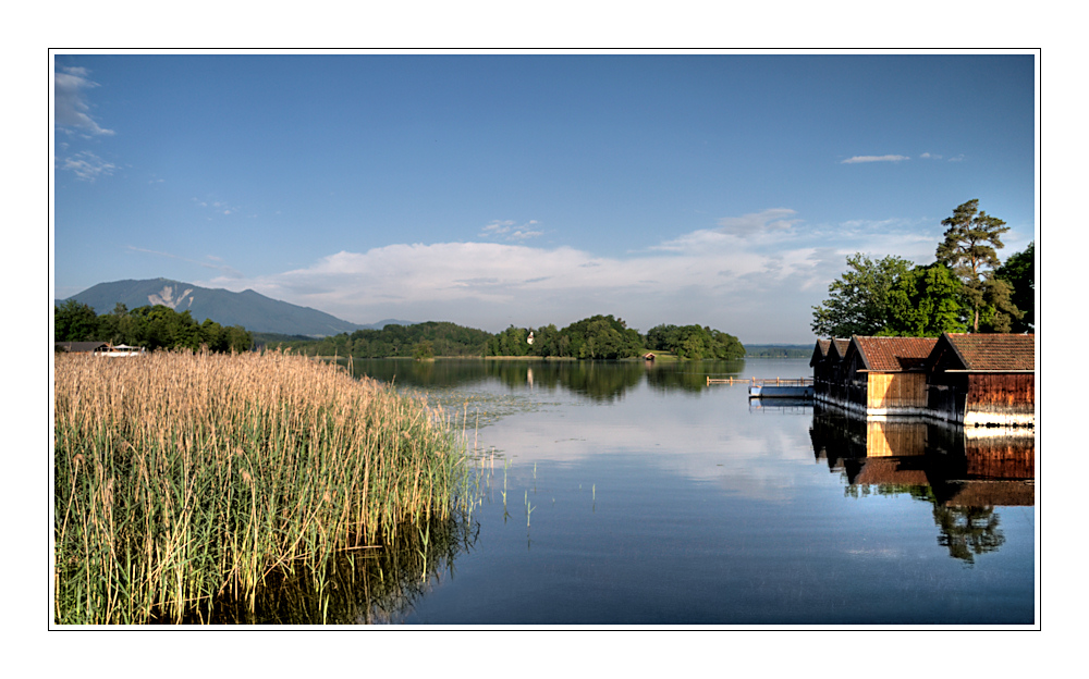 morgens am staffelsee (3)