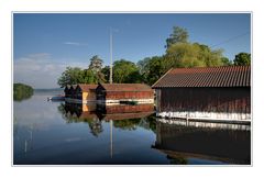 morgens am staffelsee (8) ...