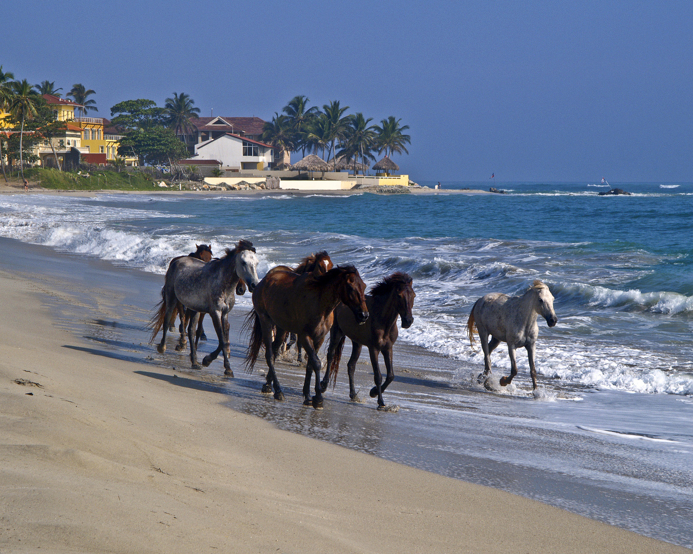 Morgens am Stand von Cabarete.