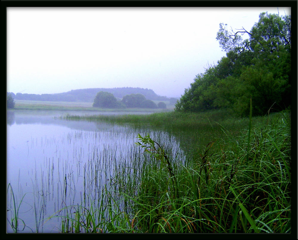 morgens am Stauweiher