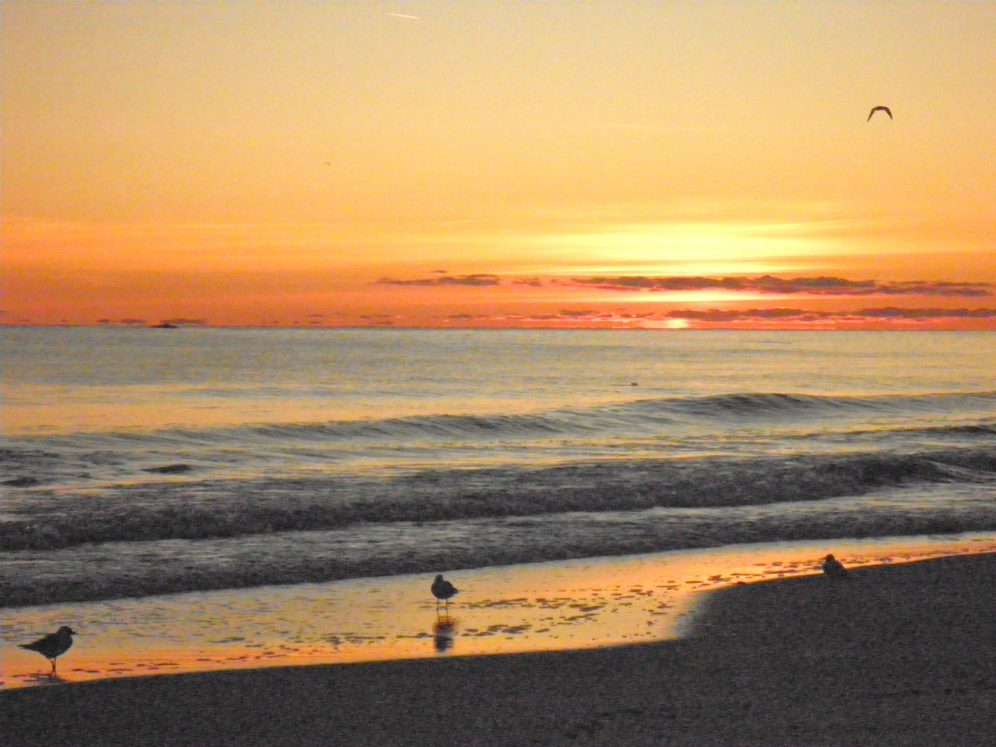 ... morgens am Strand