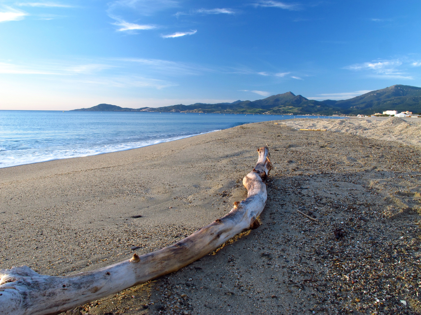 Morgens am Strand