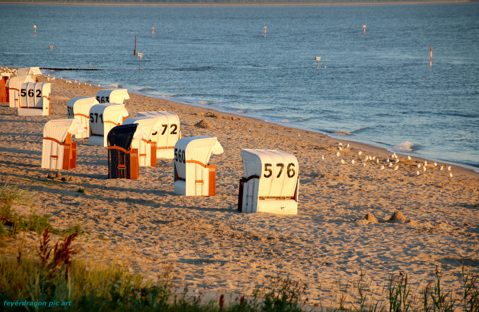 morgens am strand 