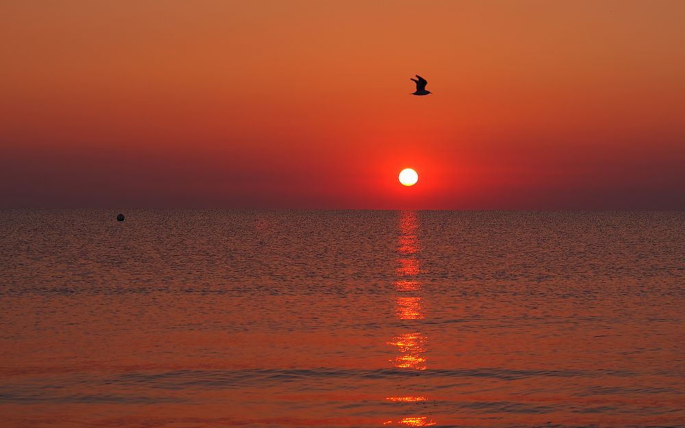 Morgens am Strand