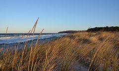 Morgens Am Strand 