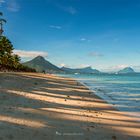 Morgens am Strand