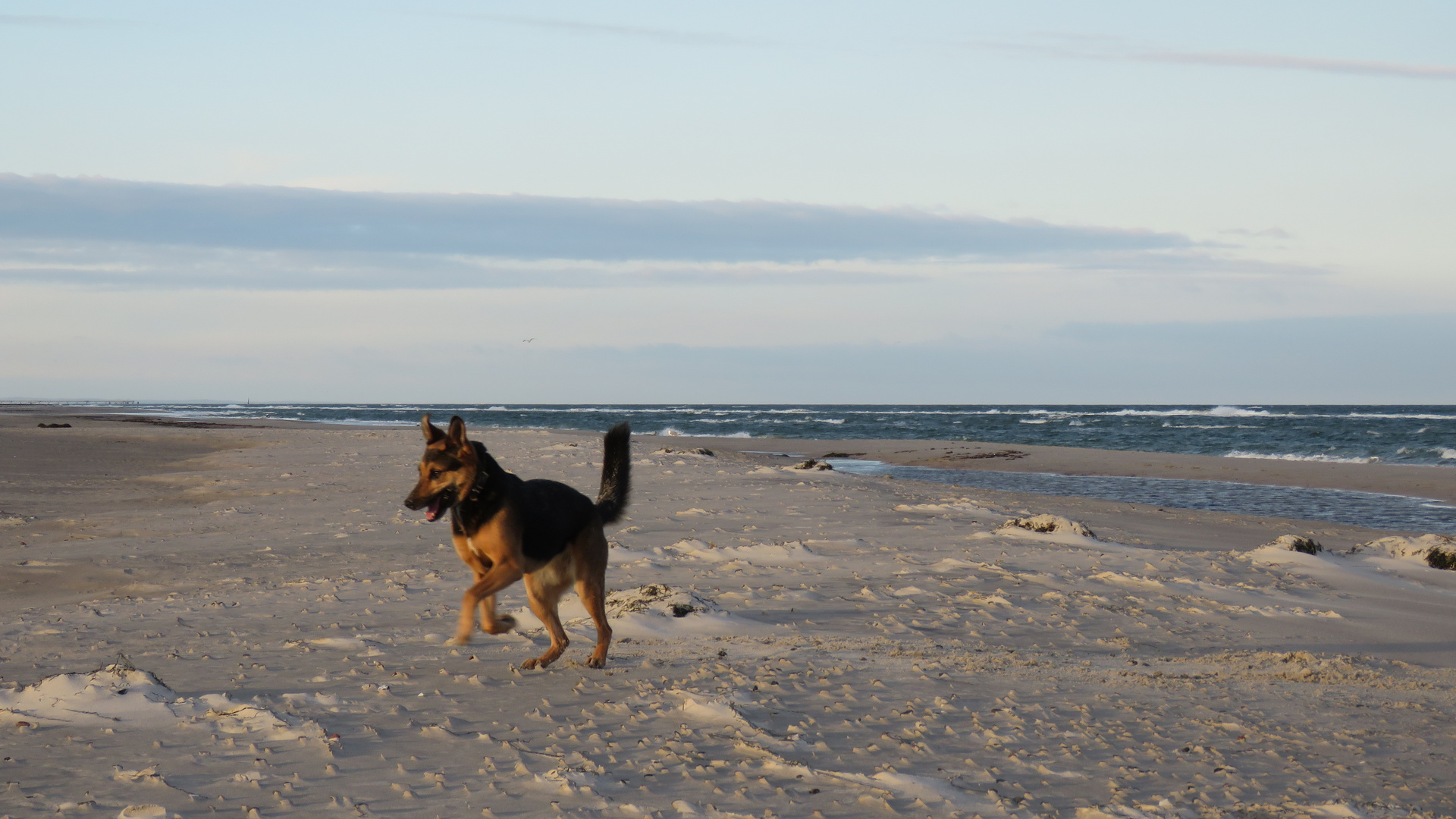 Morgens am Strand...