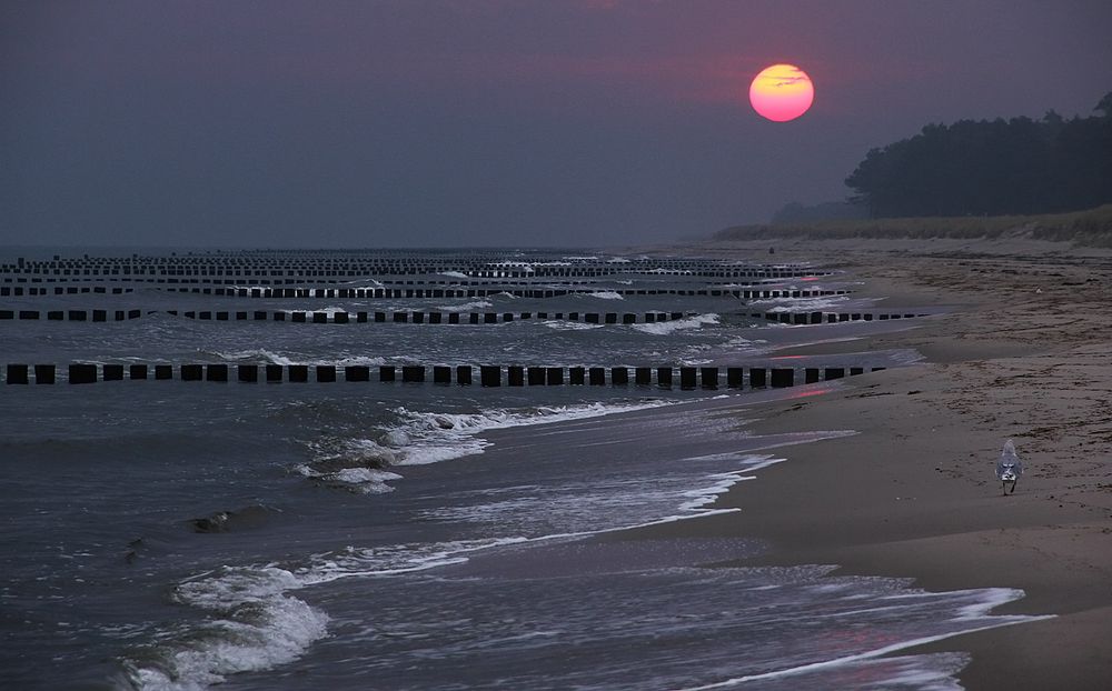 Morgens am Strand...