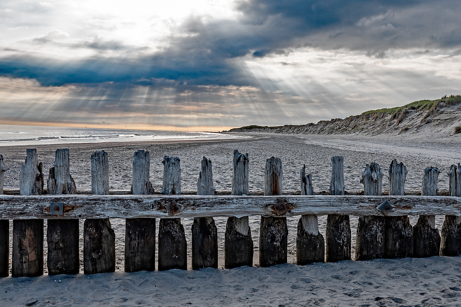 Morgens am Strand