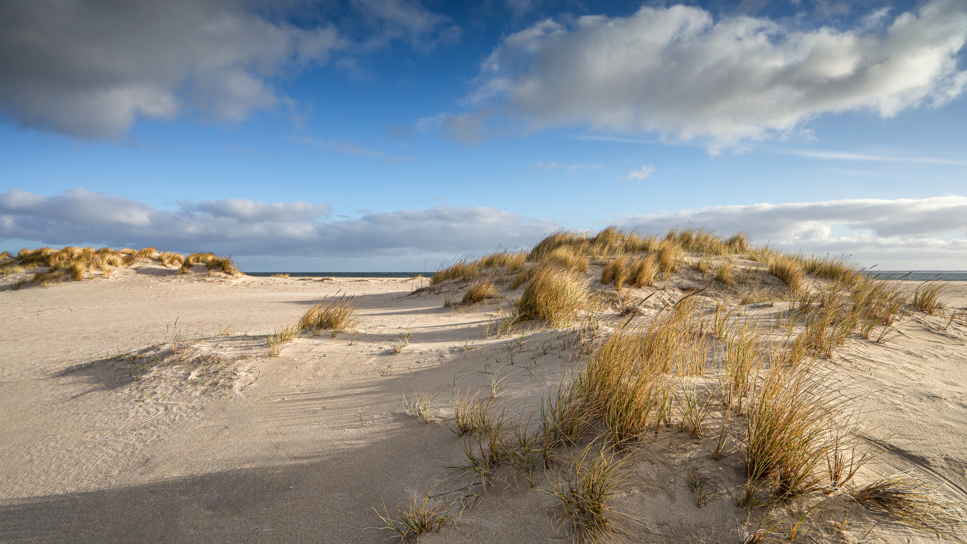 Morgens am Strand vom Ellenbogen, List auf Sylt