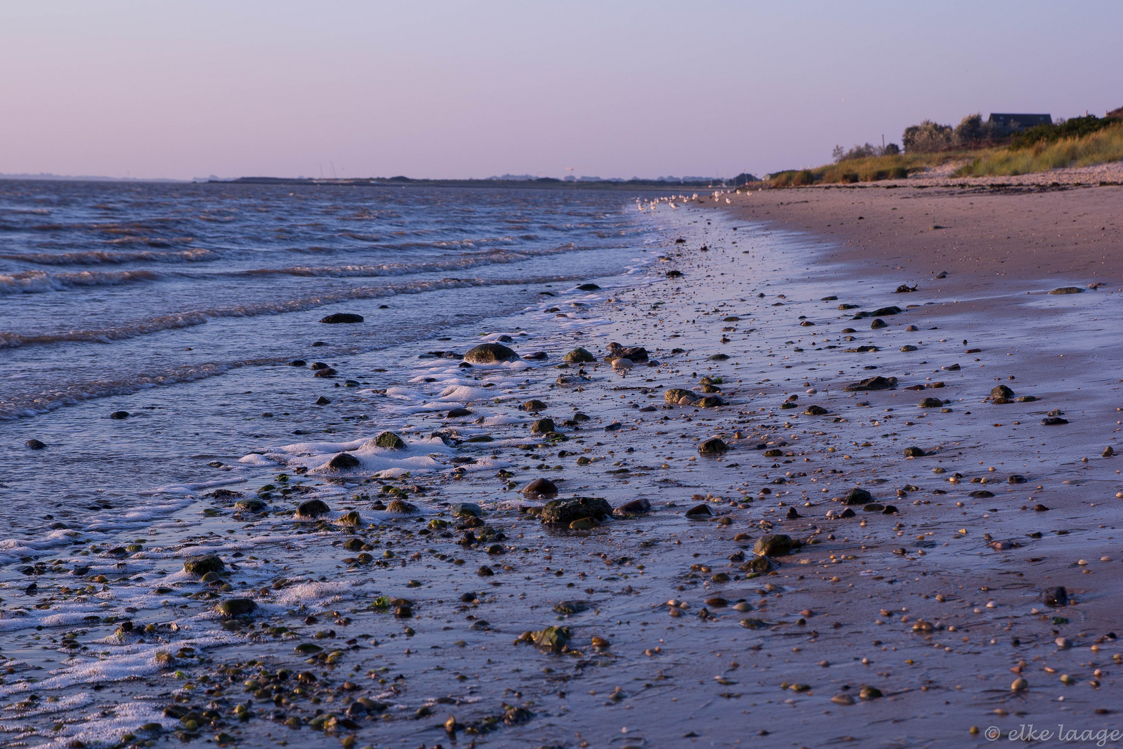 morgens am Strand von Barderup