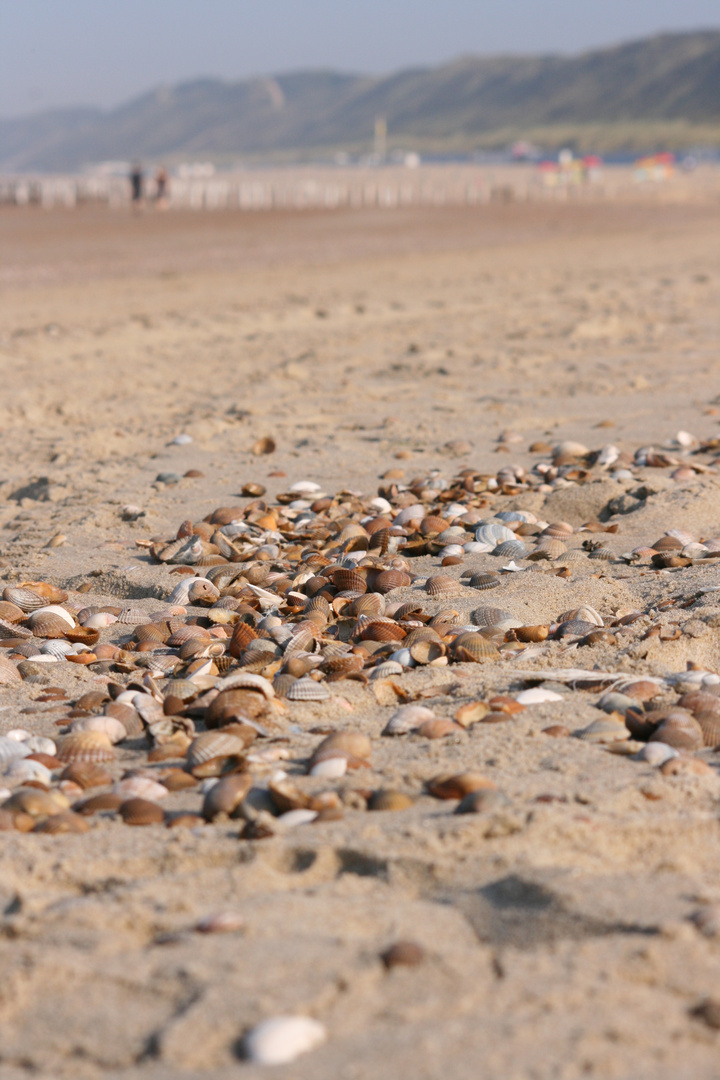 Morgens am Strand von Dishoek...