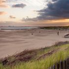 Morgens am Strand von Nieuwvlied