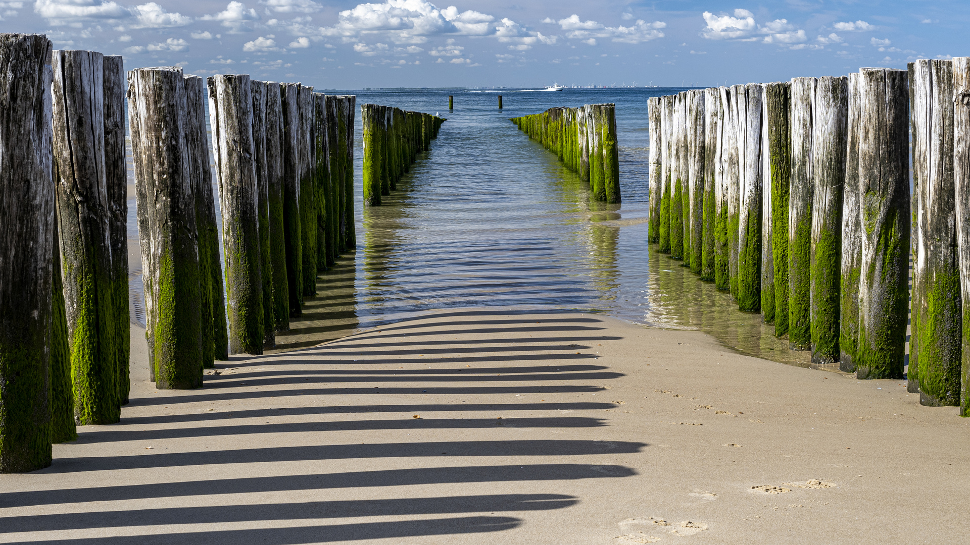 Morgens am Strand von Zoutelande