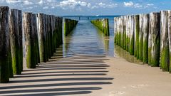 Morgens am Strand von Zoutelande