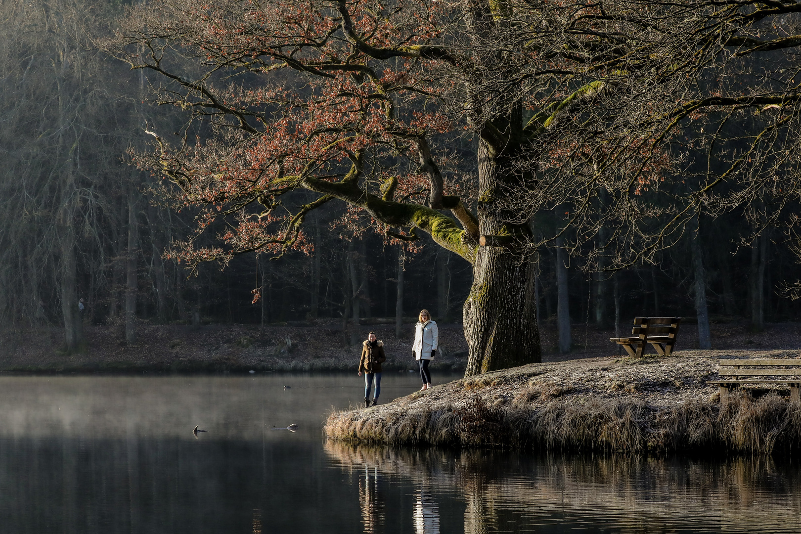 Morgens am Stuttgarter Bärensee