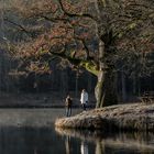 Morgens am Stuttgarter Bärensee