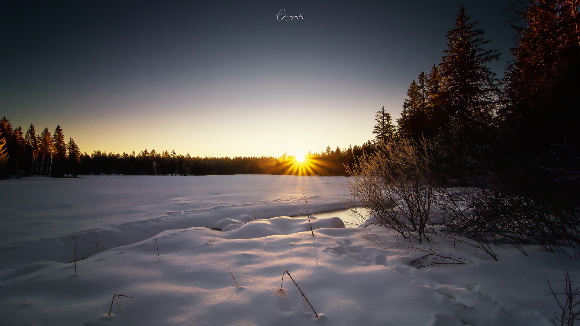 Morgens am Étang de la Gruère