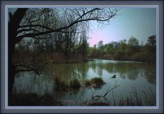 Morgens am Taubergiessen