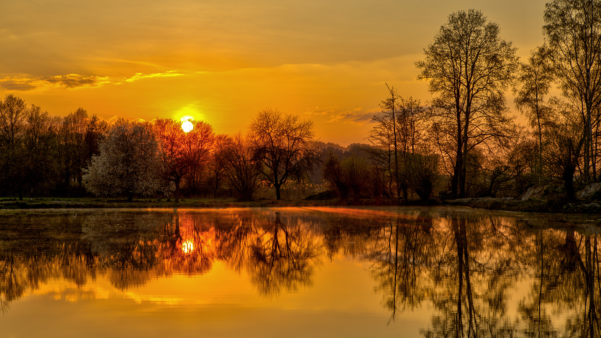 Morgens am Teich 001 