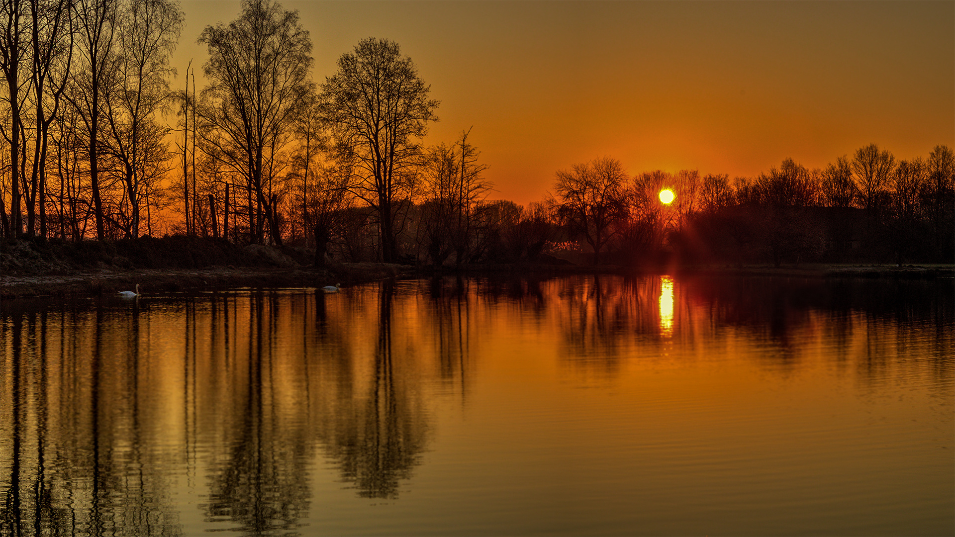 Morgens am Teich