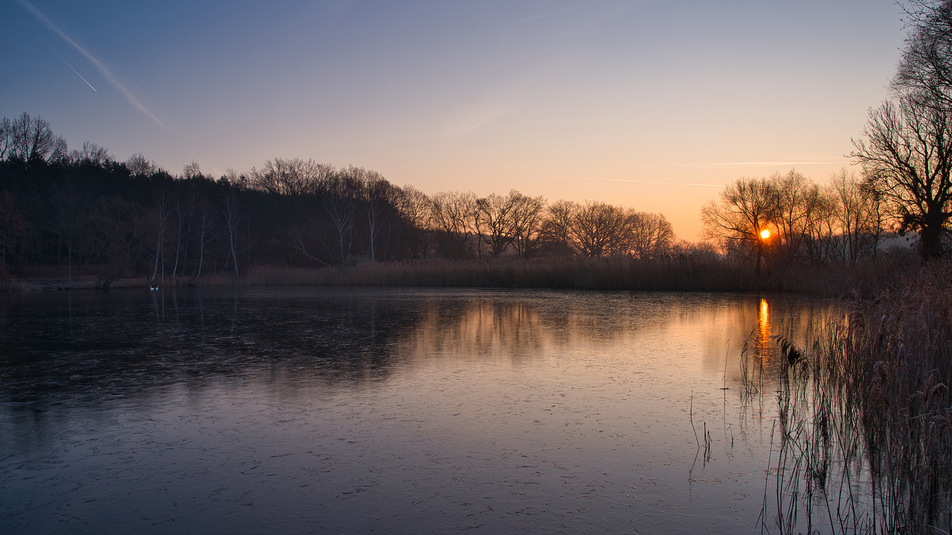 Morgens am Teich