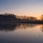 Morgens am Teich