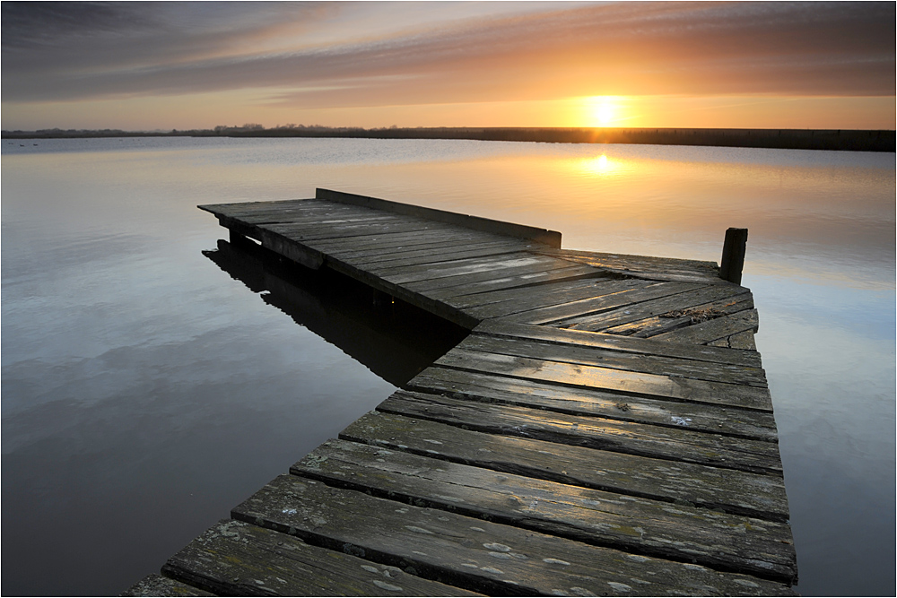 Morgens am Teich...