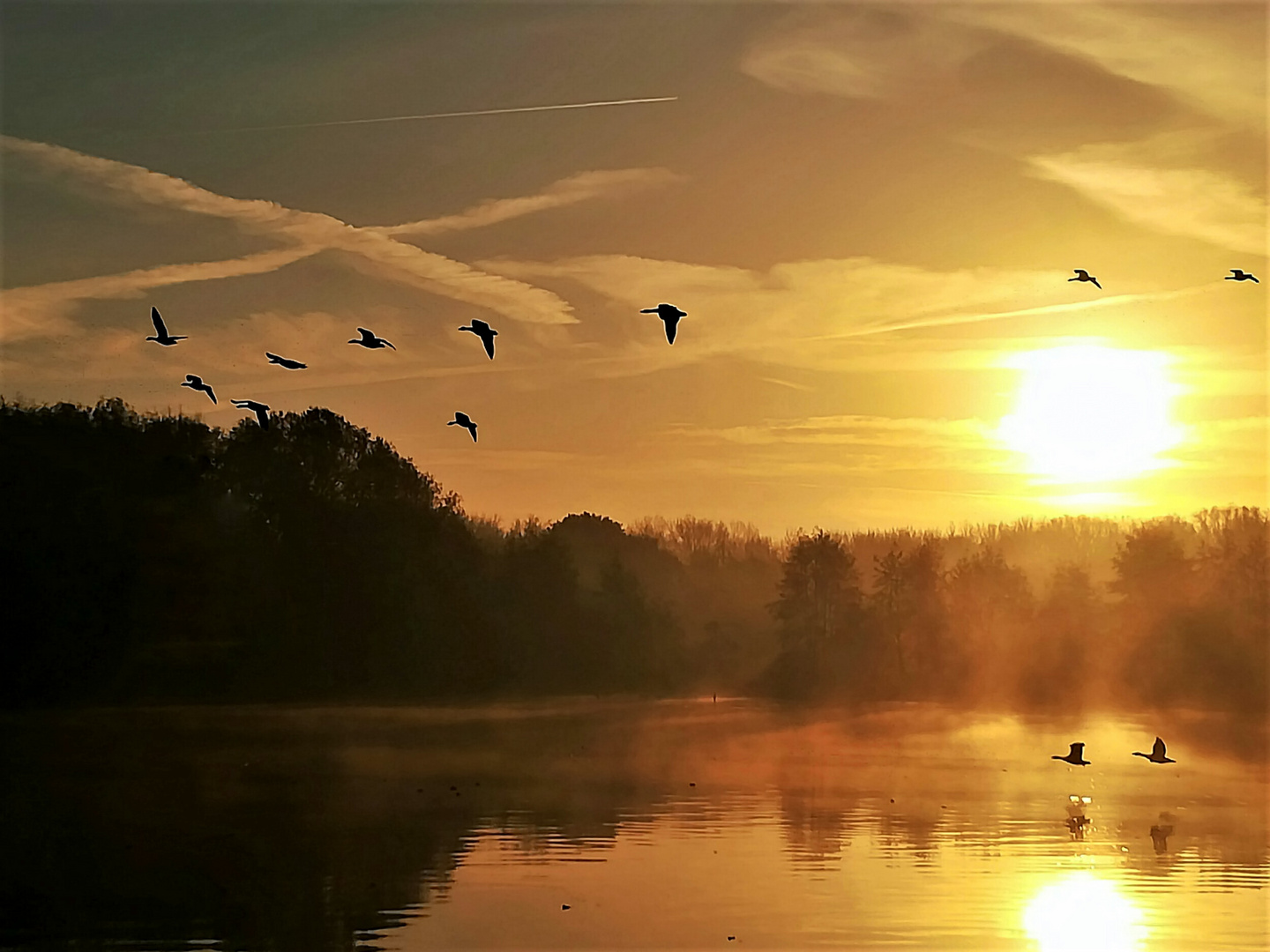 Morgens am Teich