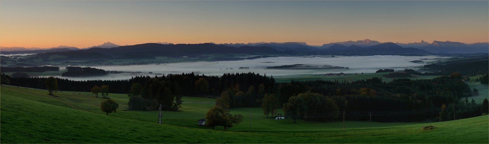 Morgens am Thannberg