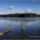 Morgens am Tiefensee