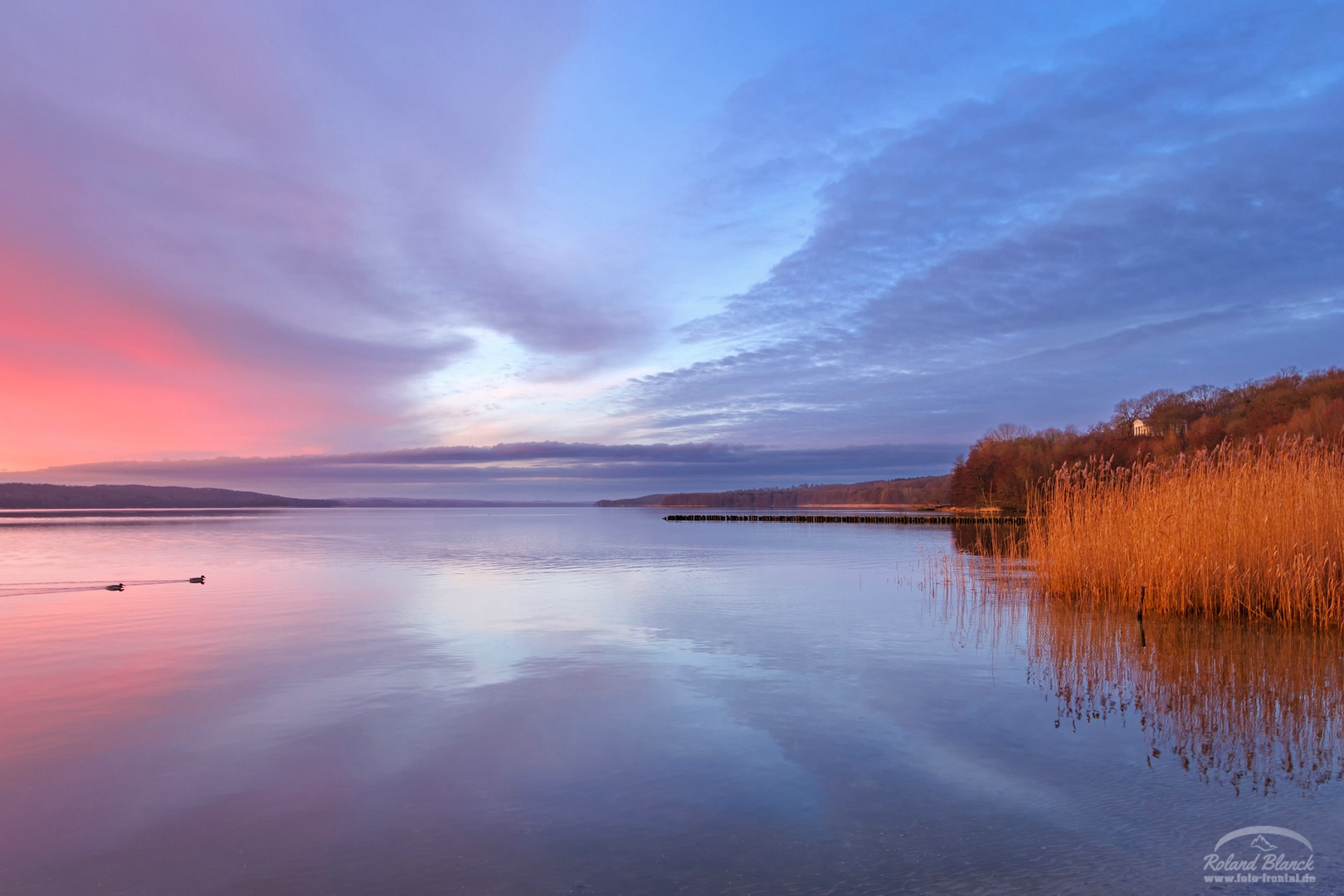 morgens am Tollensesee