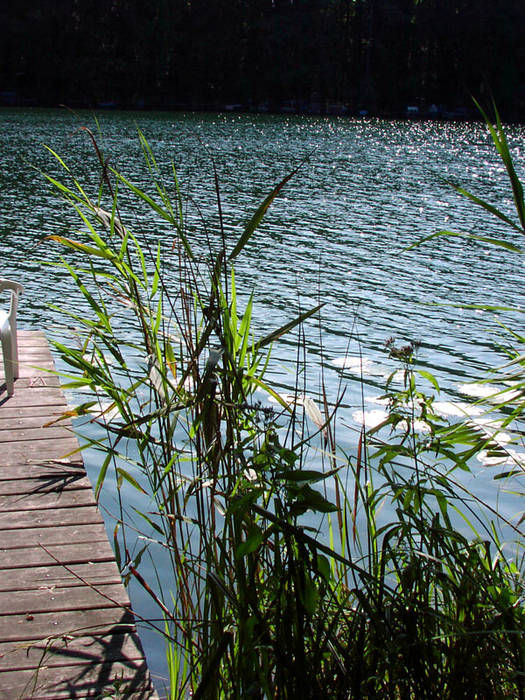 Morgens am Üdersee - Bild 2