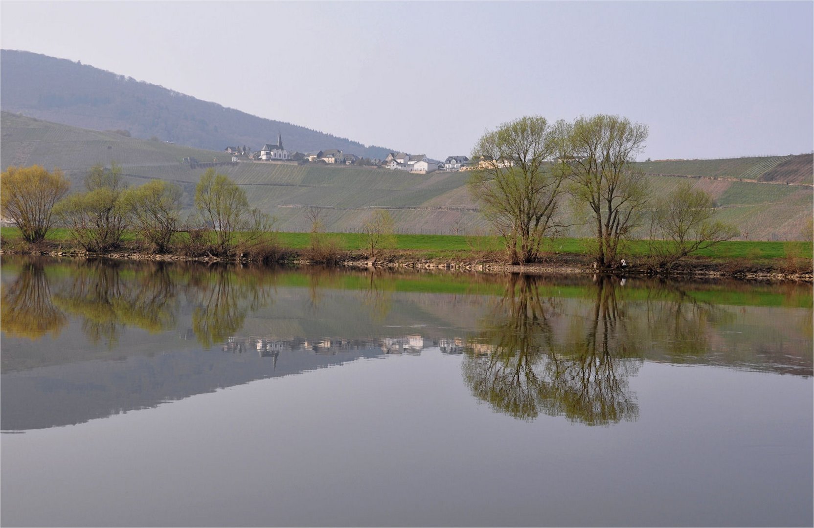 morgens am Ufer der Mosel -2-