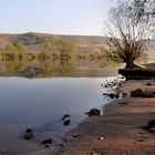 morgens am Ufer der Mosel,