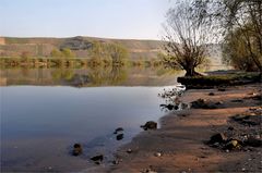 morgens am Ufer der Mosel,