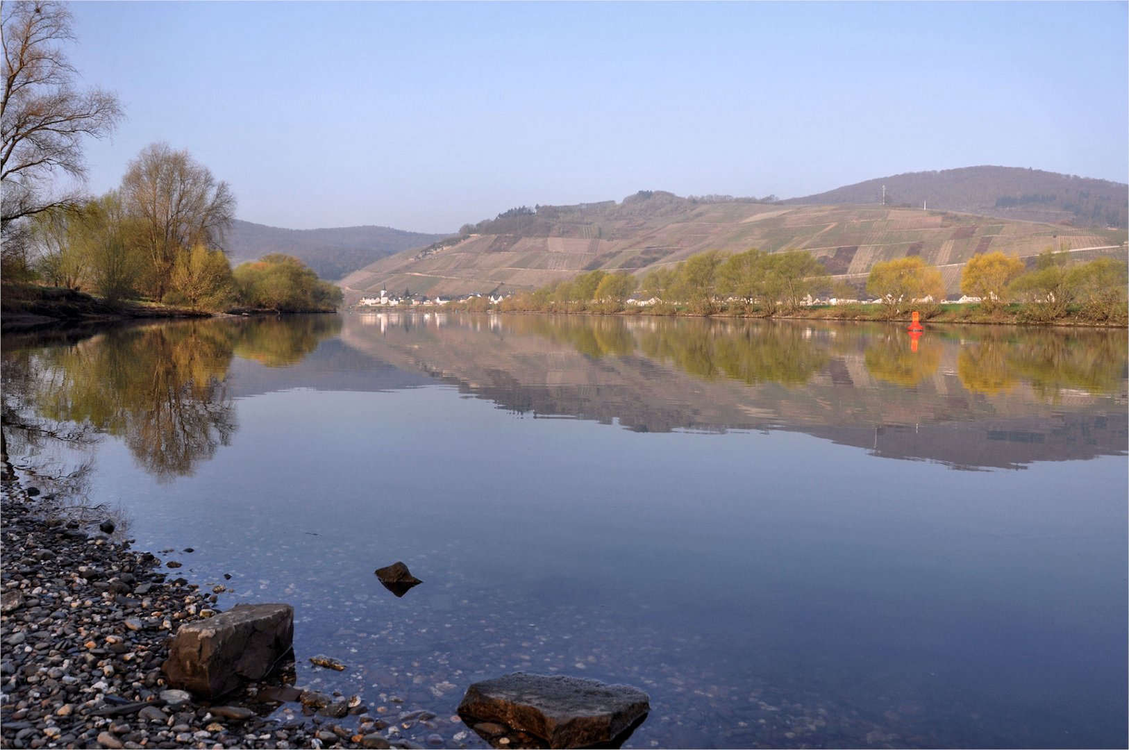 morgens am Ufer der Mosel,