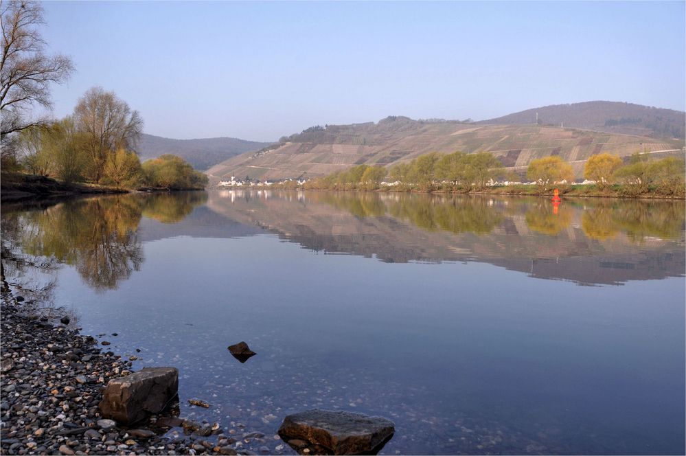 morgens am Ufer der Mosel,