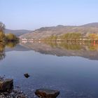 morgens am Ufer der Mosel,