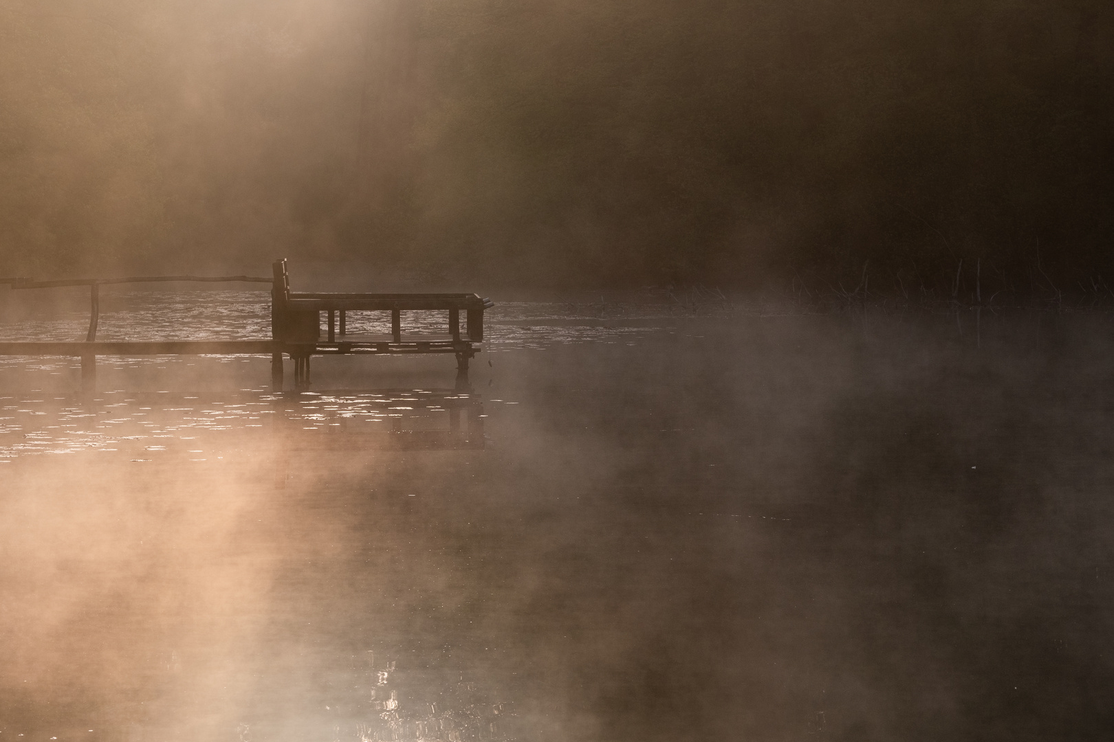 Morgens am Villenhofer Maar