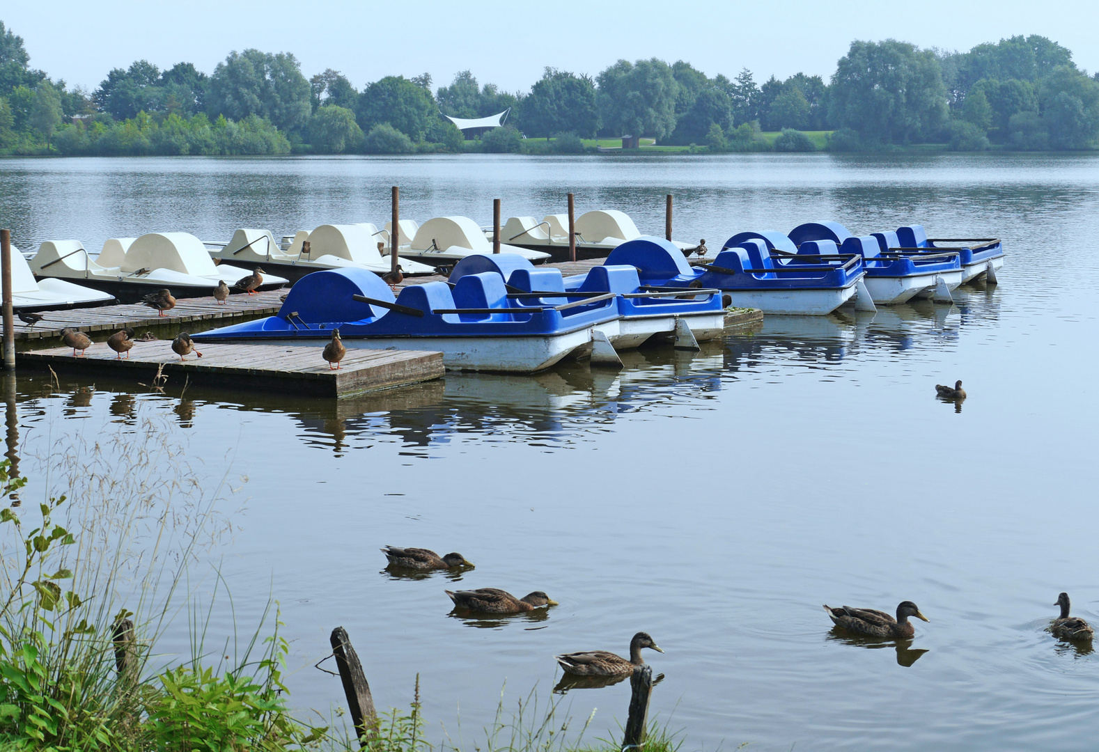 Morgens am Vörder See